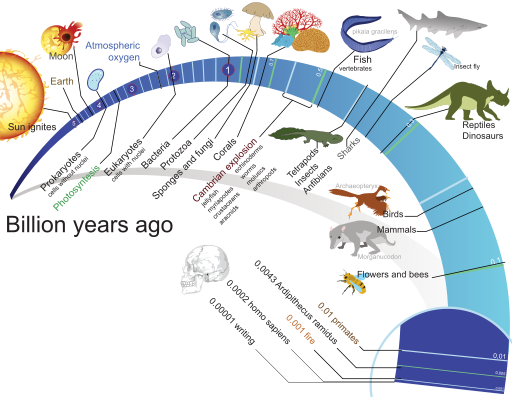 Evolution of life timeline (Wikimedia Commons)