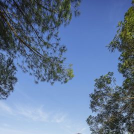 Centro de bienvenida para los temporeros a Berries Los Mimbrales