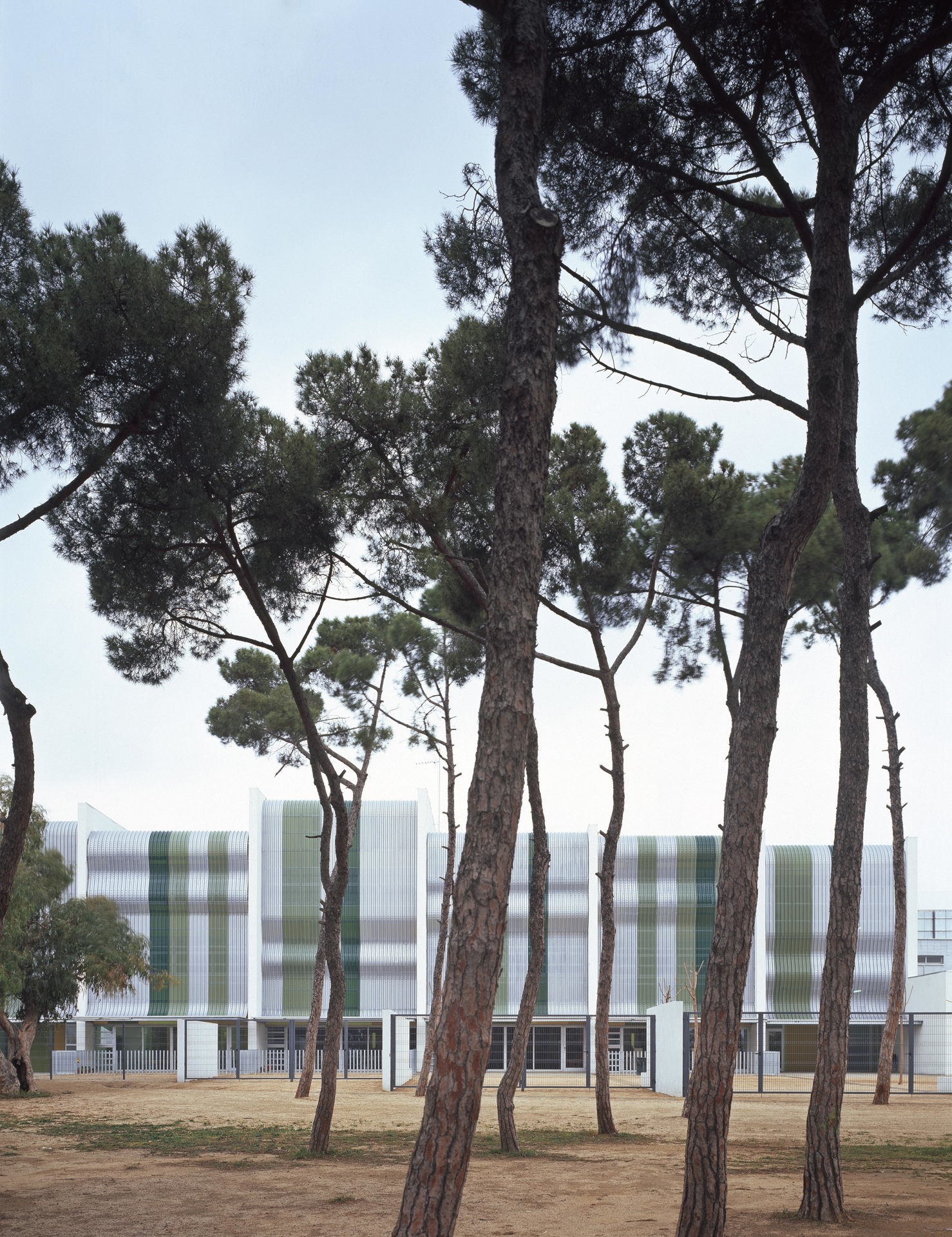  CEIP Artur Martorell