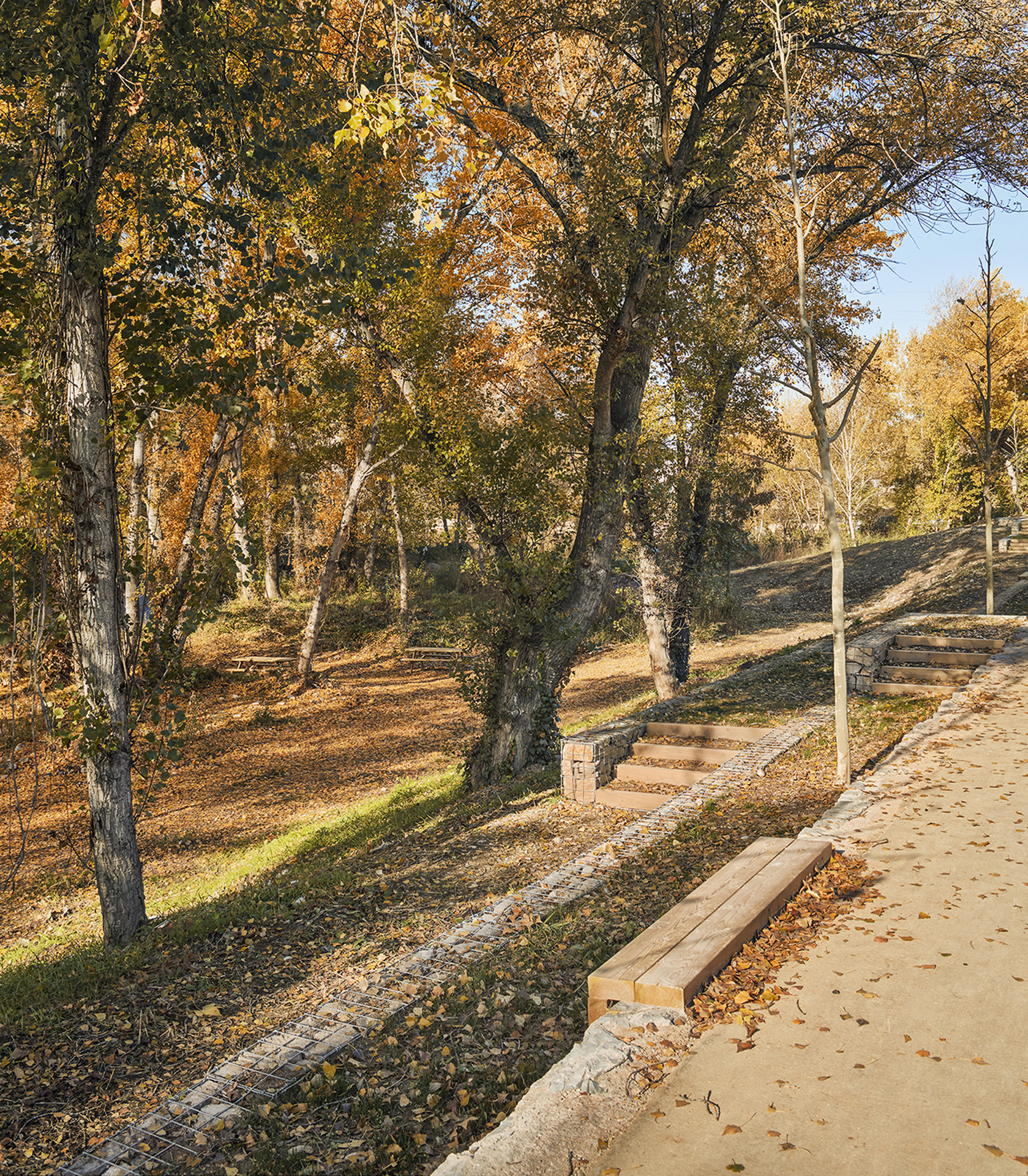  Regeneración paisajística del Camí de Cabrianes