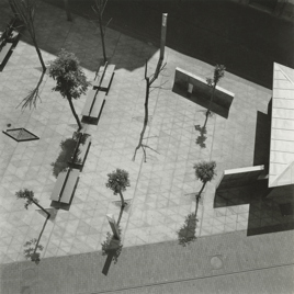 Peatonalización de la calle Teresa Gil