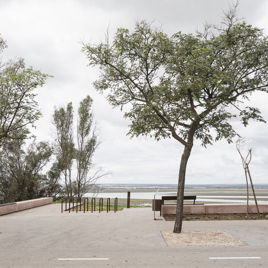 Adecuación paisajística de la Cornisa y Laderas del Conquero