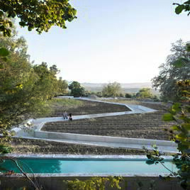 Viaje al interior de un huerto