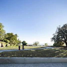 Viaje al interior de un huerto