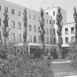 Alto Estado Mayor de Defensa