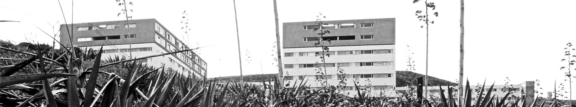  270 VPO en Cuevas Blancas