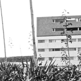 270 VPO en Cuevas Blancas