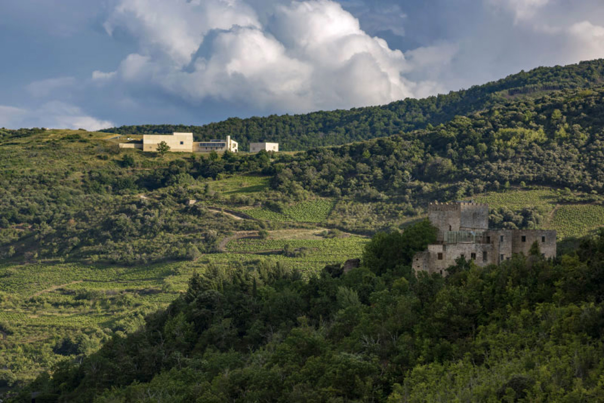  Bodegas Descendientes de J. Palacios