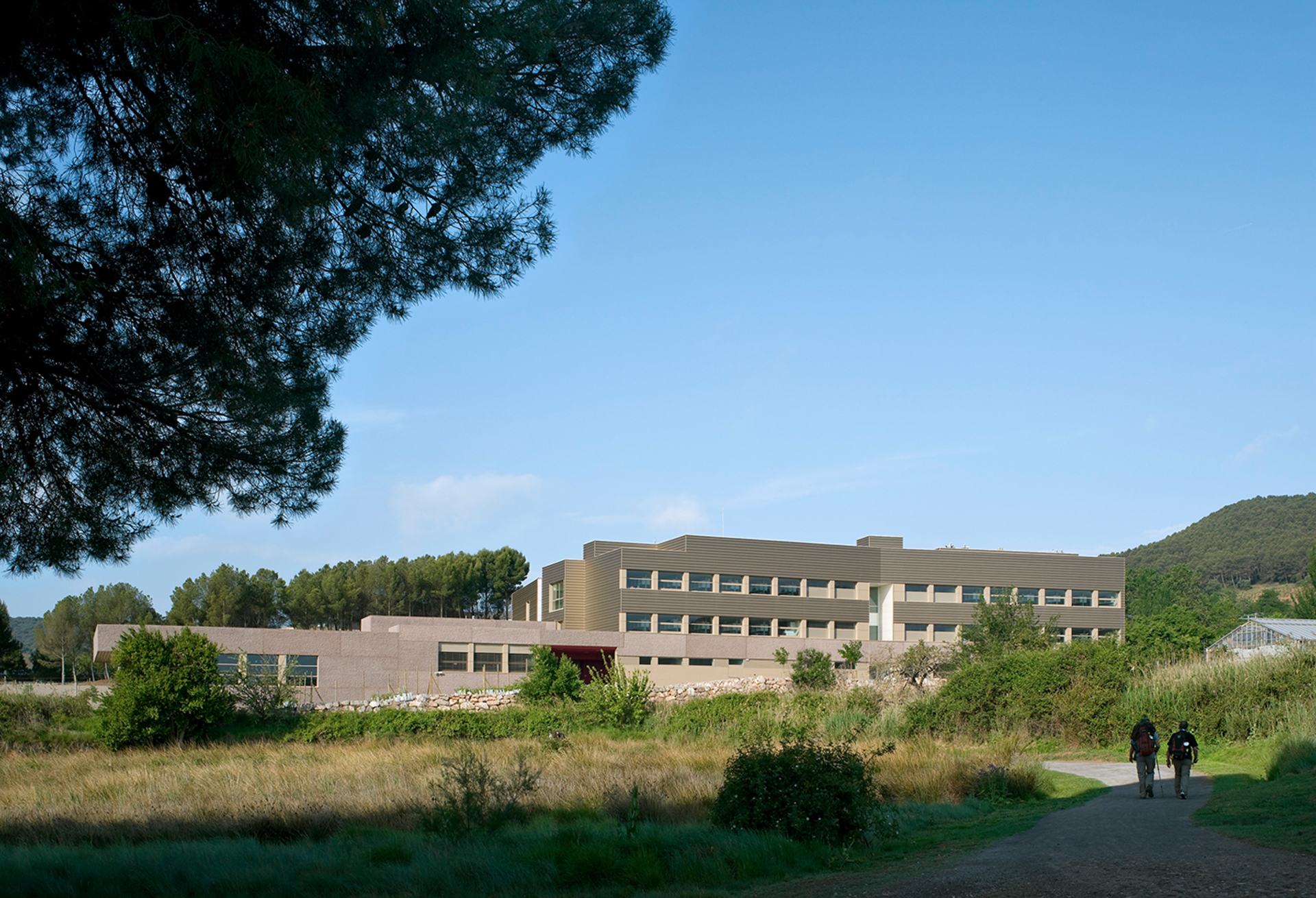  Instituto de Ciencias de la Vid y del Vino