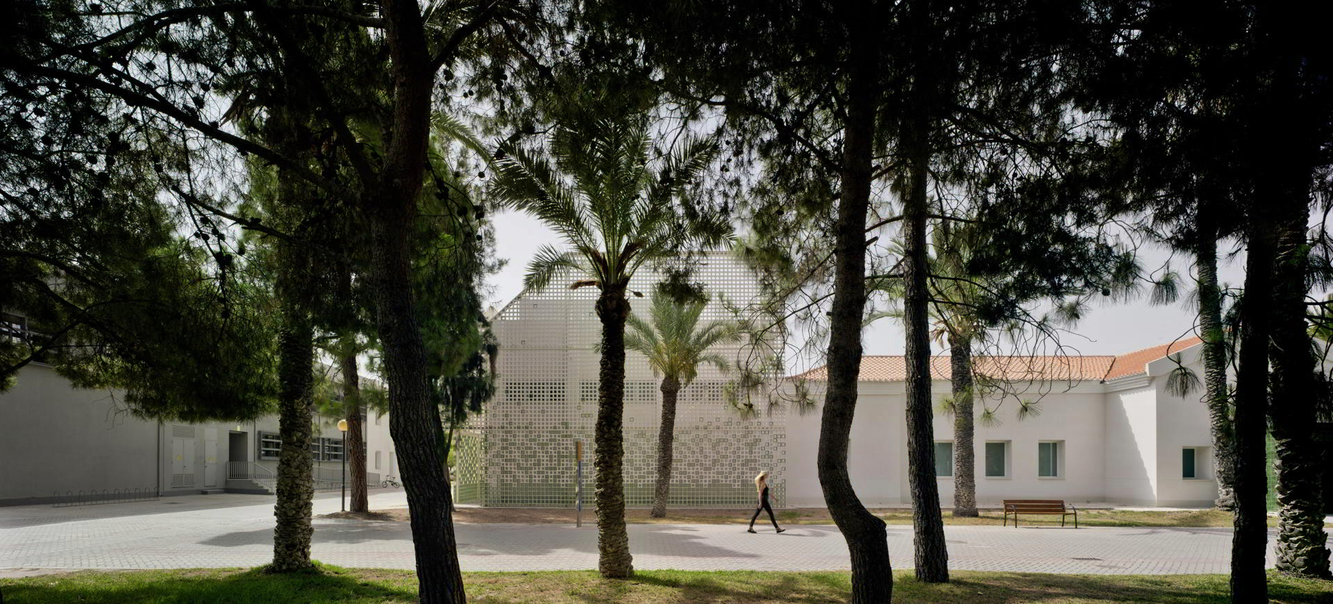  Museo de las colecciones naturales de la Universidad de Alicante