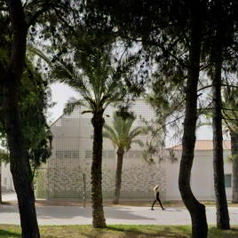 Museo de las colecciones naturales de la Universidad de Alicante