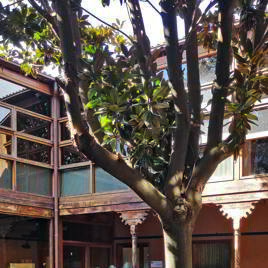 Rehabilitación del centro asociado de la UNED de Tenerife