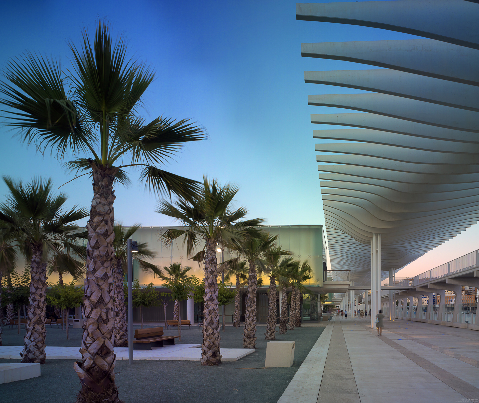  Integración Puerto Ciudad Málaga. El Palmeral de las Sorpresas