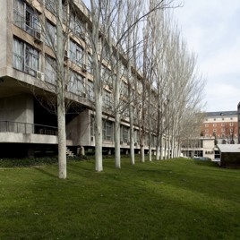 Colegio Mayor Casa do Brasil