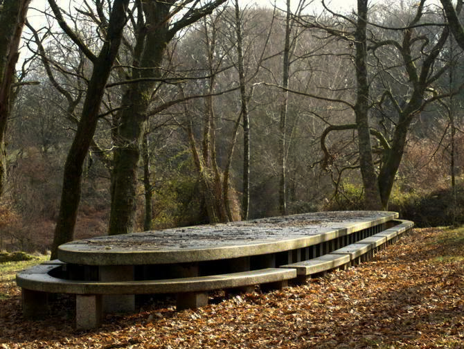 Intervención en la Carballeira de Lalín, Pontevedra. César Portela
