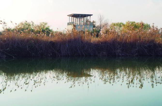 Mirador sobre infraestructura hidráulica (2005-2006). Imma Jansana Ferrer.