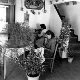 Poblado de colonización de Novelda del Guadiana