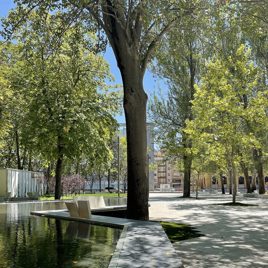 Rehabilitación y regeneración del Parque de los Jardinillos