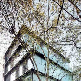 4 viviendas, local comercial y garaje