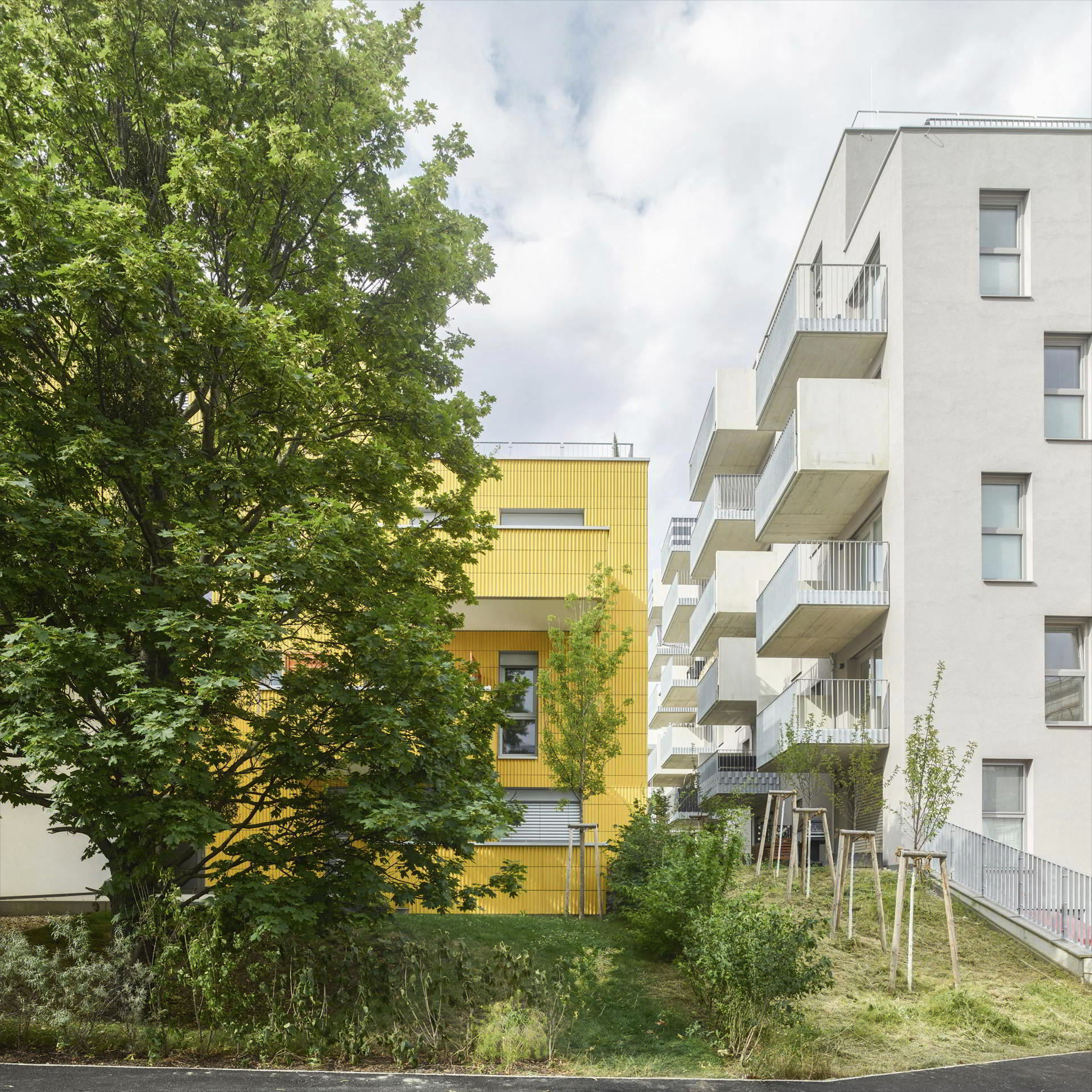  Wildgarden. Barrio participativo en Viena