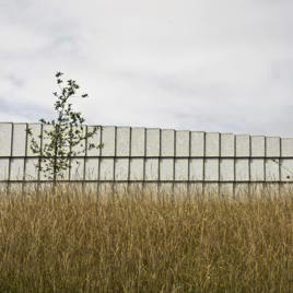 Centro de Interpretación del Arte Rupestre
