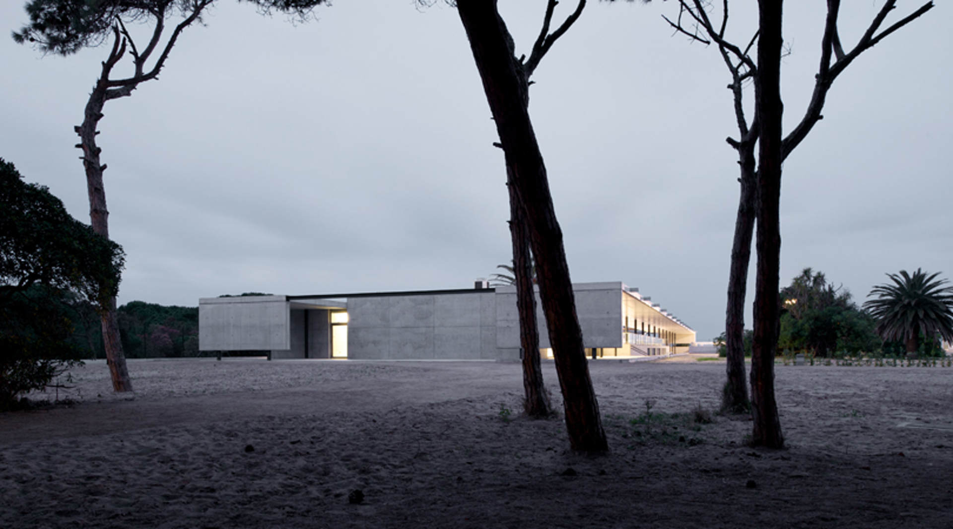  CRAM. Fundación para la conservación y recuperación de animales marinos