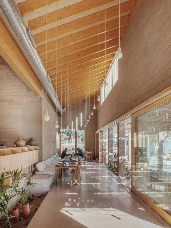 Alfacs - Joan Guillamat