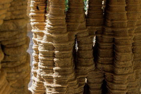 FC 3DPA Forest Campus - Iwan Baan