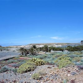 Pequeña agrupación con vistas al mar