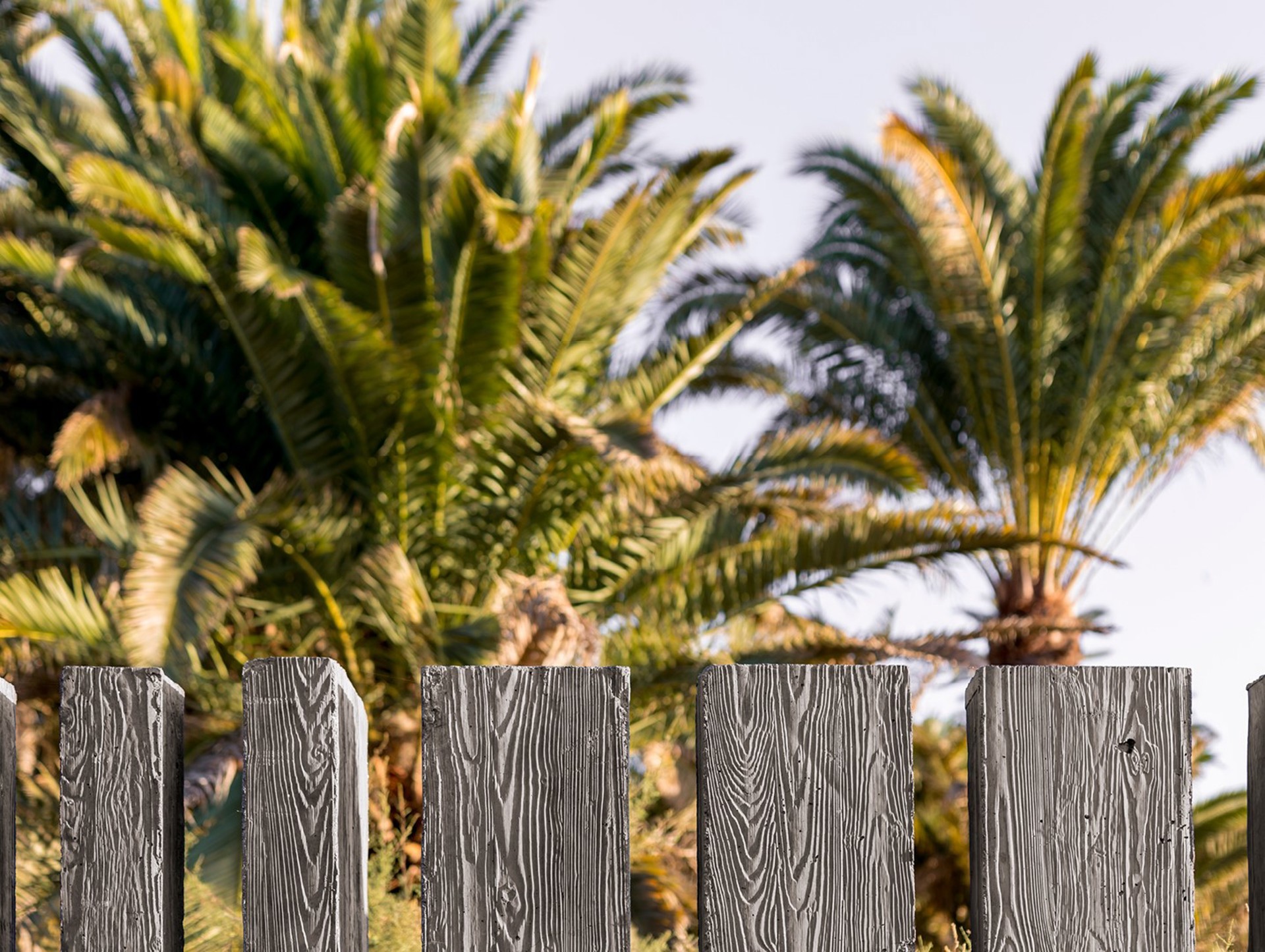  Parque Tony Gallardo