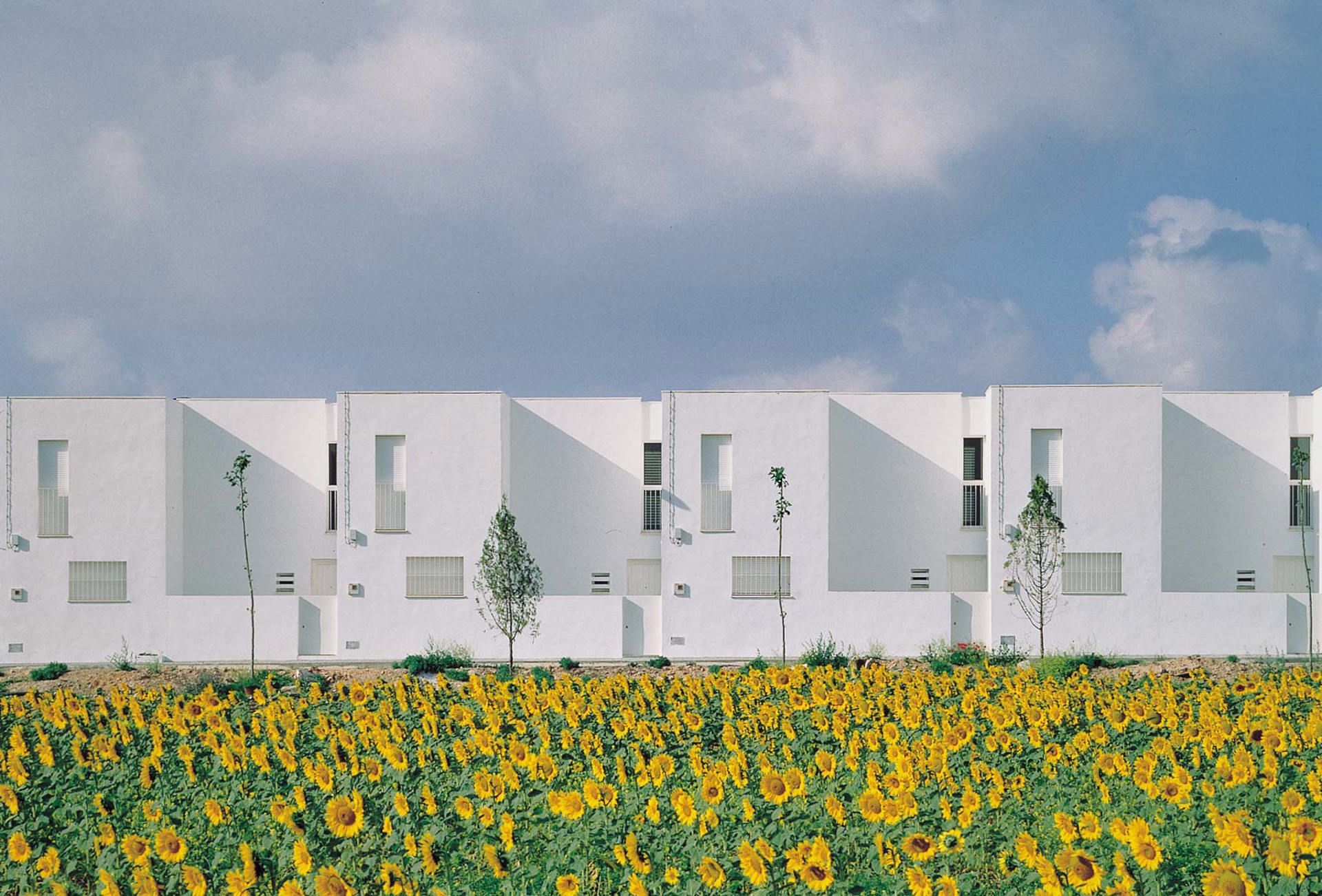  Viviendas autoconstruidas en Lantejuela