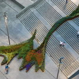 El jardín que sube por las escaleras