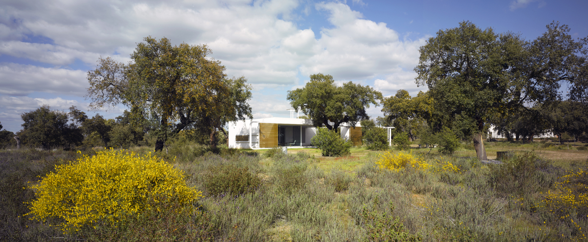  Vivienda unifamiliar Casa entre Encinas