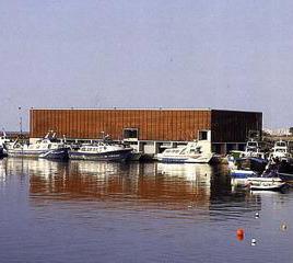 Lonja de pescado en Benicarló