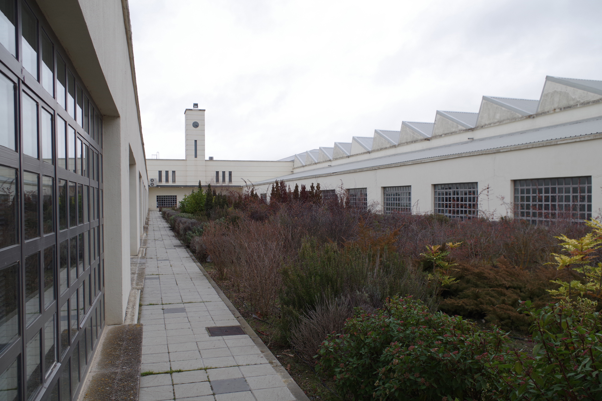  Campus La Yutera (Universidad de Valladolid)