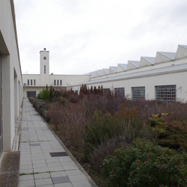 Campus La Yutera (Universidad de Valladolid)
