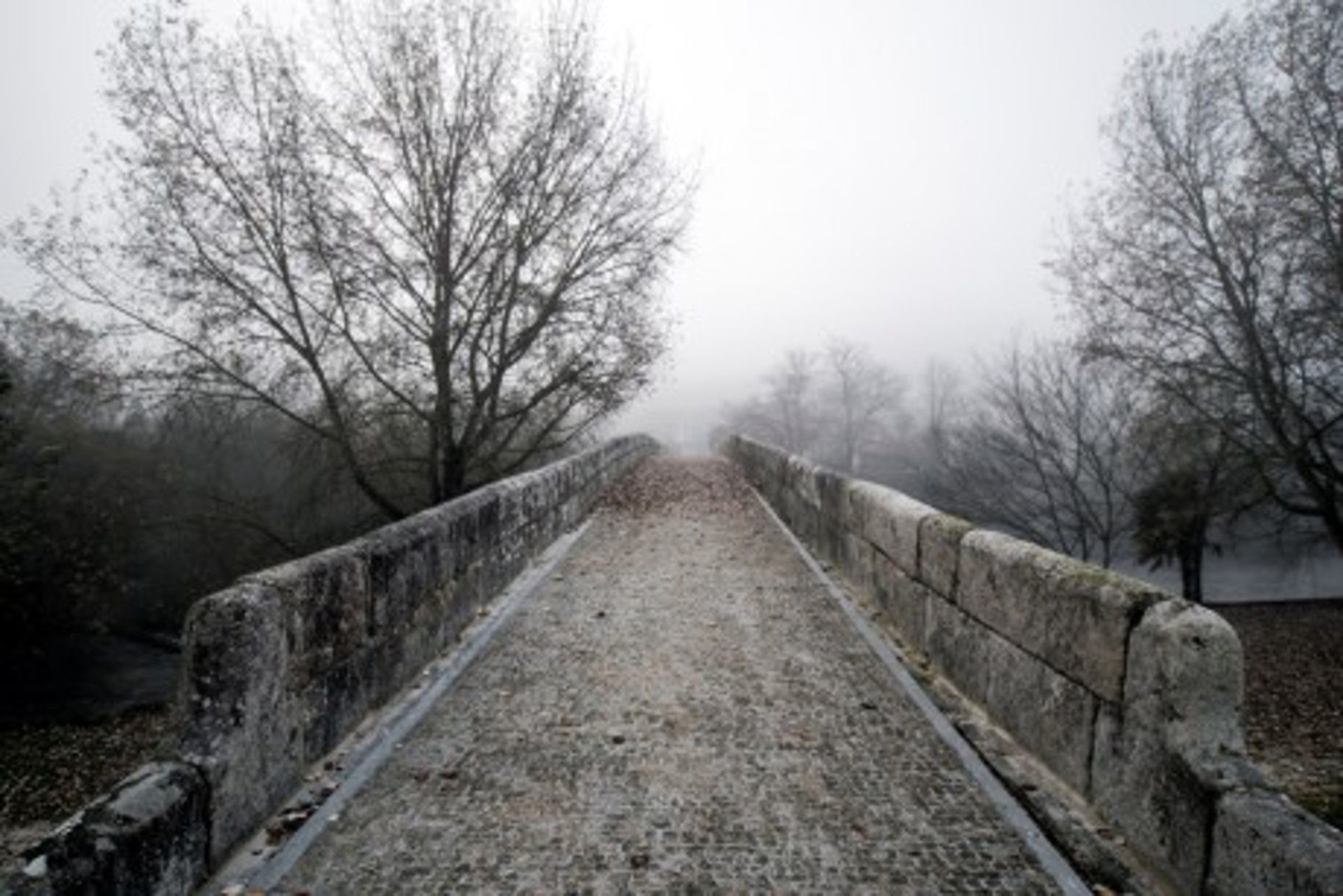 Ponteledesma. Rehabilitación de puente medieval