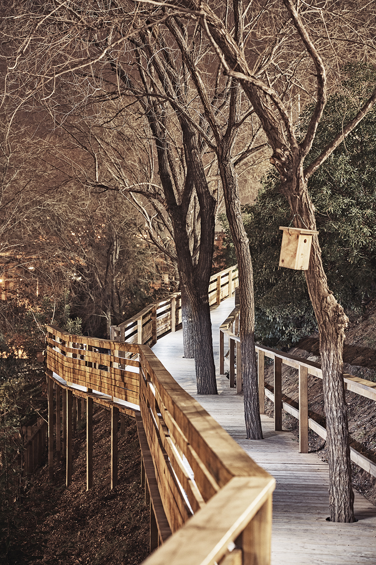  Pasarelas adaptadas de acceso a la Escuela Thau Barcelona