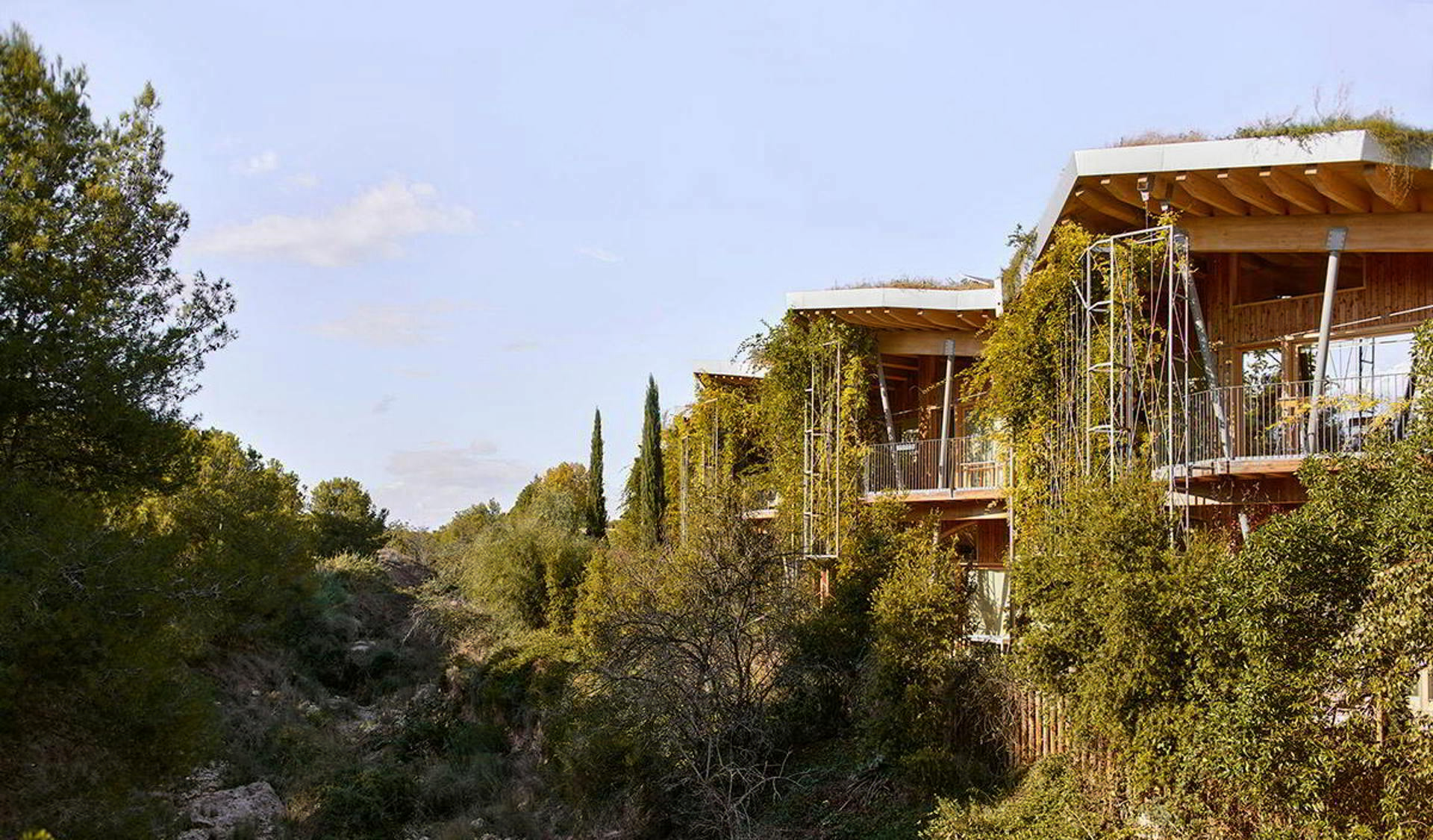  Escuela Montessori de Paterna