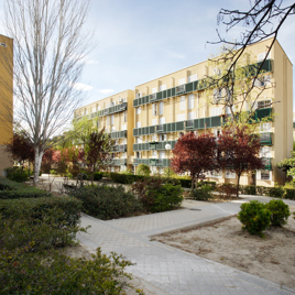 Poblado Dirigido de Caño Roto