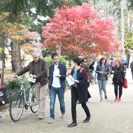 PAM! Amara Berri.  Plan de Acciones de Mejora del espacio público  de Amara Berri