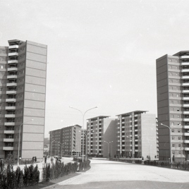 Grupo de viviendas en el barrio de Pumarín