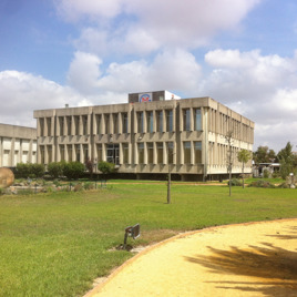 Bodegas internacionales (Bodegas Williams & Humbert)