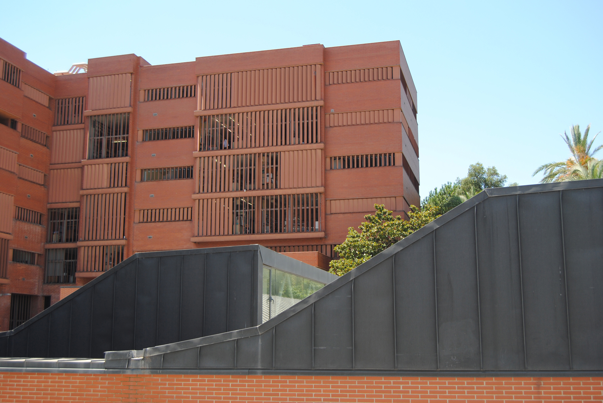  Facultad de Biología. Universitat de Barcelona