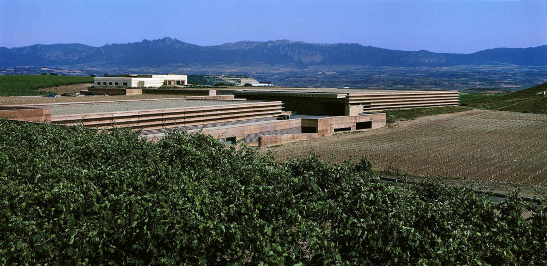  Bodegas Campo Viejo (Bodegas Juan Alcorta)