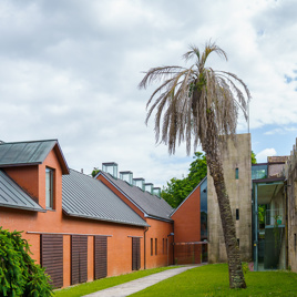 Rehabilitación de las cocheras del pazo de Quiñones de León
