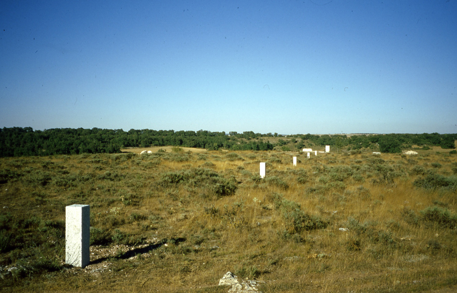  Intervenciones Paisajisticas en el Camino del Destierro