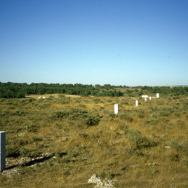 Intervenciones Paisajisticas en el Camino del Destierro