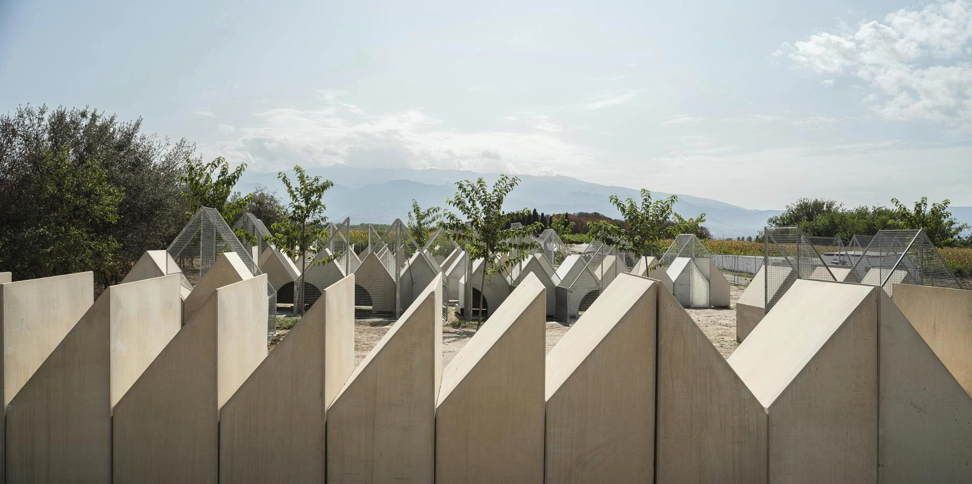  Ciudad de perros. Centro de acogida de animales