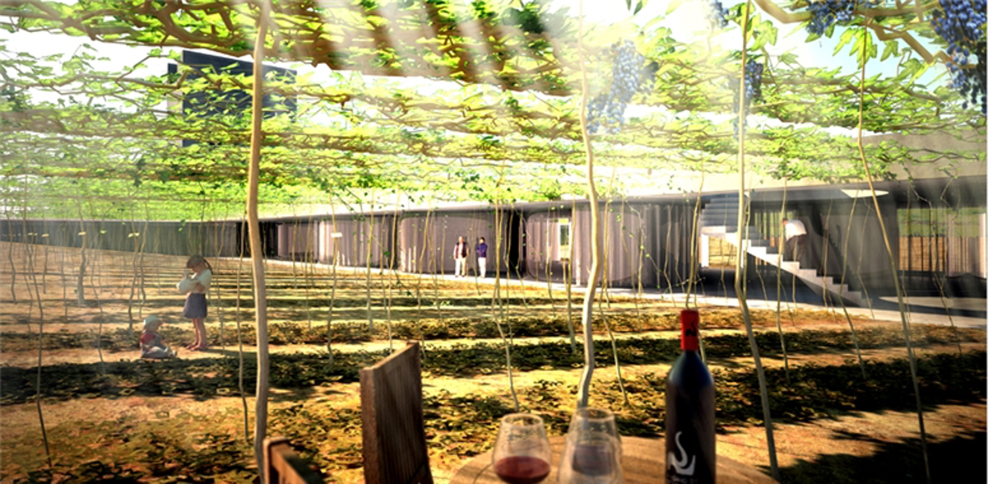  La Energía de un Viñedo